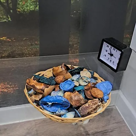 Appartamento Samitest Belgrado