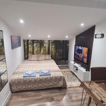 Apartment Samitest Belgrad